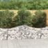 vidaXL Arched Gabion Basket 200x50x60/80 cm Galvanised Iron