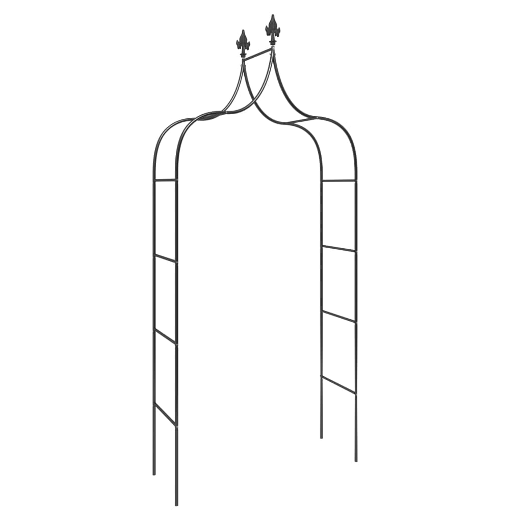 8720845670351_g_en_hd_1 vidaXL Garden Arches 2 pcs Black 120x38x260 cm Steel - Image 3