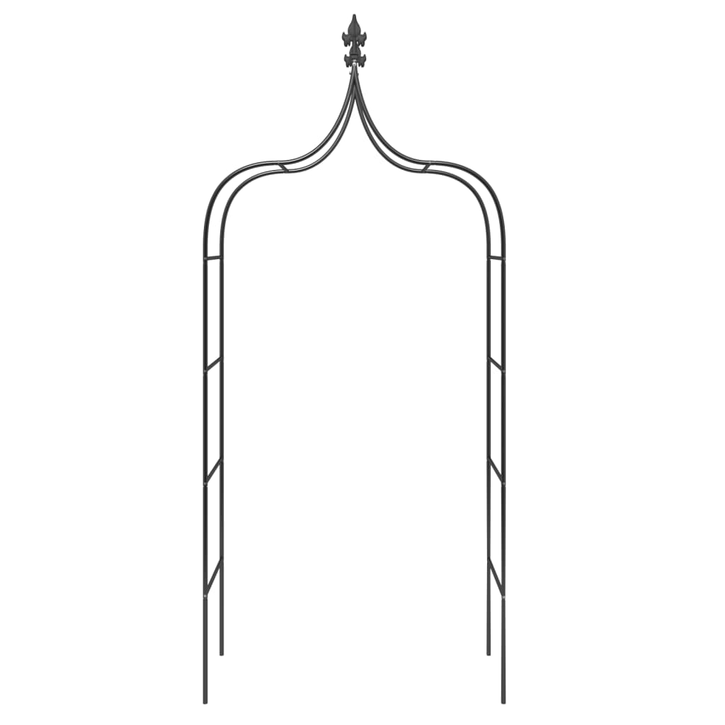 8720845670351_g_en_hd_2 vidaXL Garden Arches 2 pcs Black 120x38x260 cm Steel - Image 4