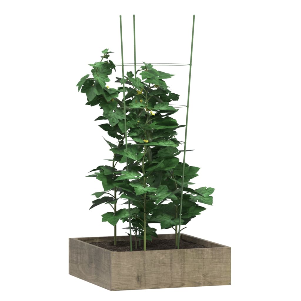 8720845670580_g_en_hd_1 vidaXL Garden Plant Supports with 4 Rings 5 pcs Green 90 cm Steel - Image 3