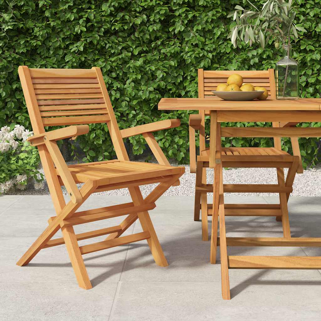 vidaXL Folding Garden Chairs 2 pcs 55x62x90 cm Solid Wood Teak