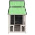 vidaXL Dog Kennel Grey 143x60.5x109 cm Solid Wood Pine - Image 4
