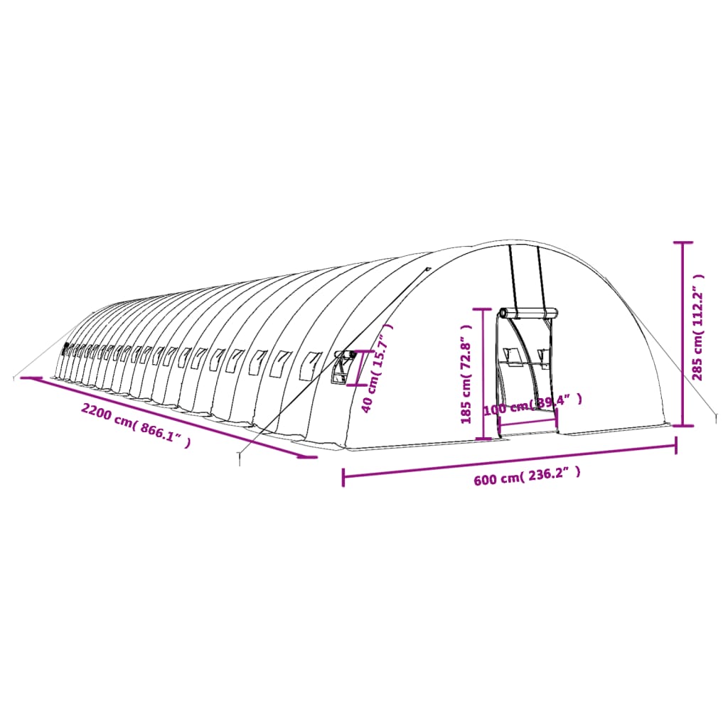 8720845892005_g_en_hd_10 vidaXL Greenhouse with Steel Frame Green 132 m² 22x6x2.85 m - Image 12