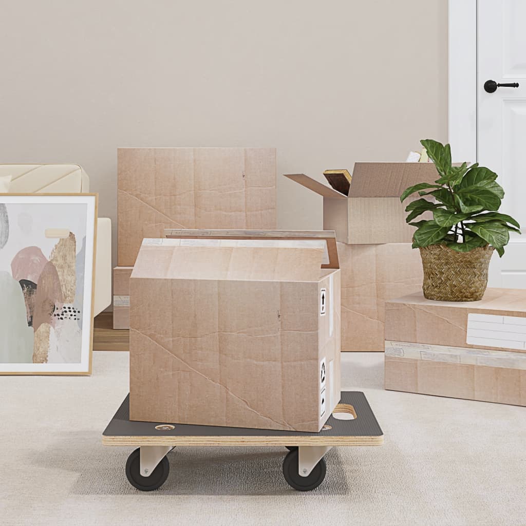 8720845951245_m_en_hd_1 vidaXL Transport Trolleys 2 pcs Rectangular 50x35x11.5 cm 250 kg - Image 1