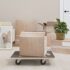 vidaXL Transport Trolleys 2 pcs Rectangular 60x40x11.5 cm 250 kg