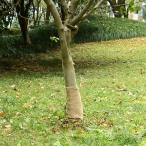 vidaXL Jute Roll 0.25x25 m 100% Jute 200 gsm