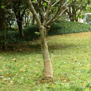 vidaXL Jute Roll 0.25x100 m 100% Jute 200 gsm