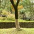 vidaXL Jute Roll 1x25 m 100% Jute 200 gsm