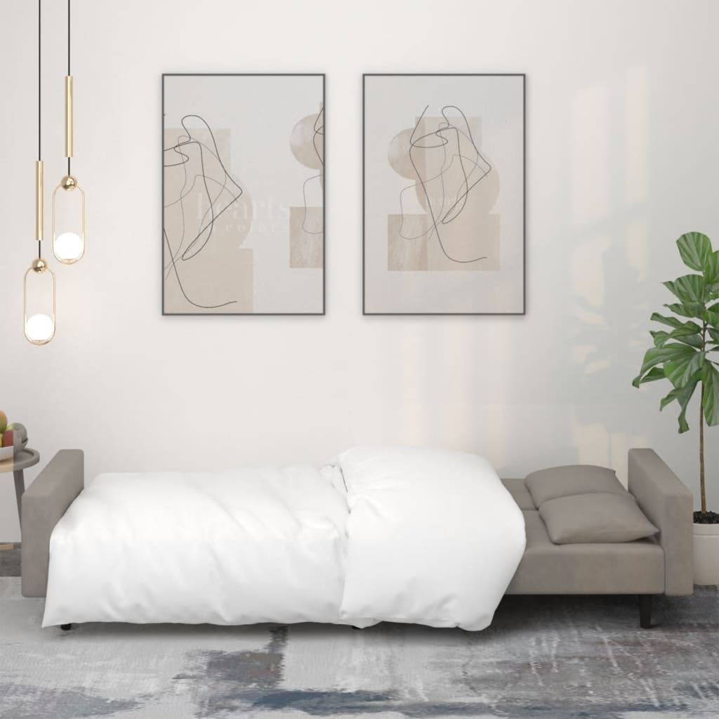 8721012379695_g_en_hd_1 vidaXL 2-Seater Sofa Bed with Two Pillows Light Grey Velvet - Image 3