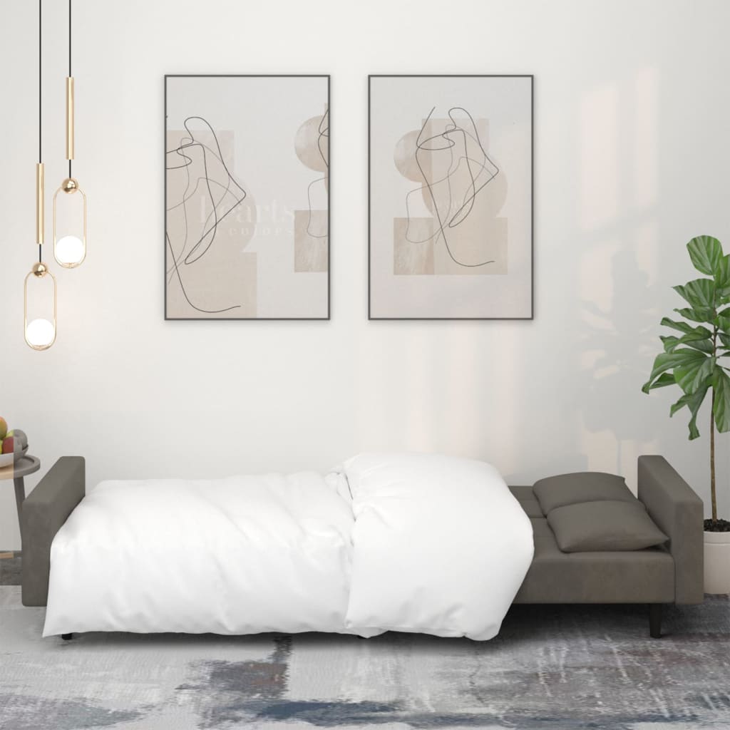 8721012379701_g_en_hd_1 vidaXL 2-Seater Sofa Bed with Two Pillows Dark Grey Velvet - Image 3