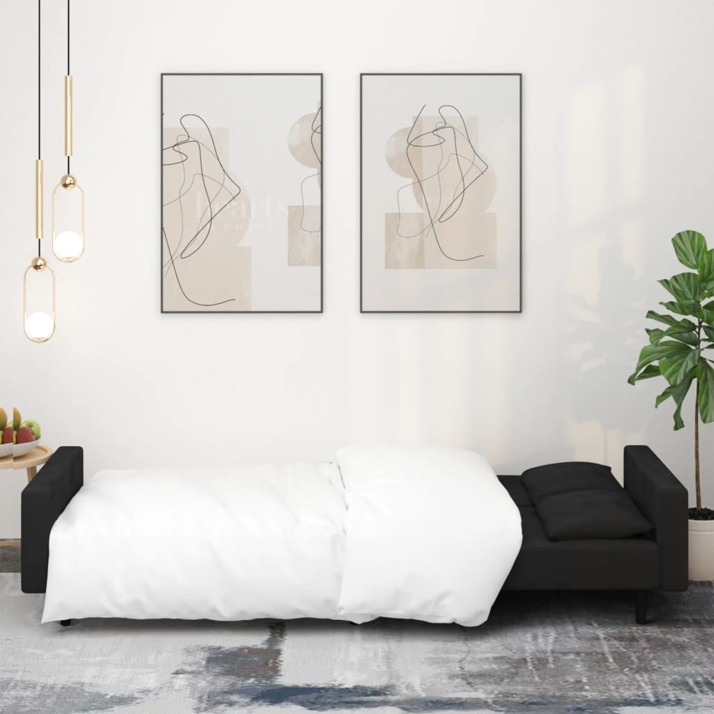 8721012379749_g_en_hd_1 vidaXL 2-Seater Sofa Bed with Two Pillows Black Velvet - Image 3