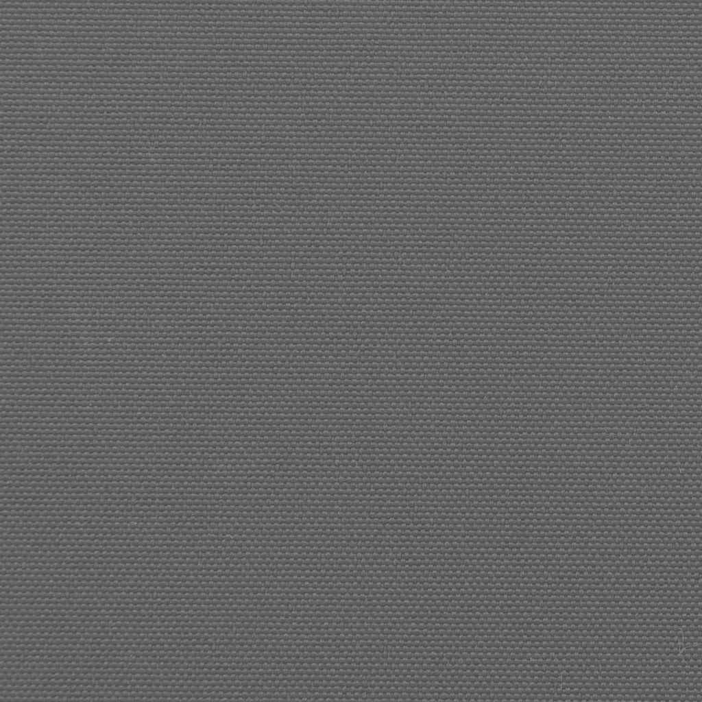 8721012482913_g_en_hd_7 vidaXL Retractable Side Awning Anthracite 100x300 cm - Image 9