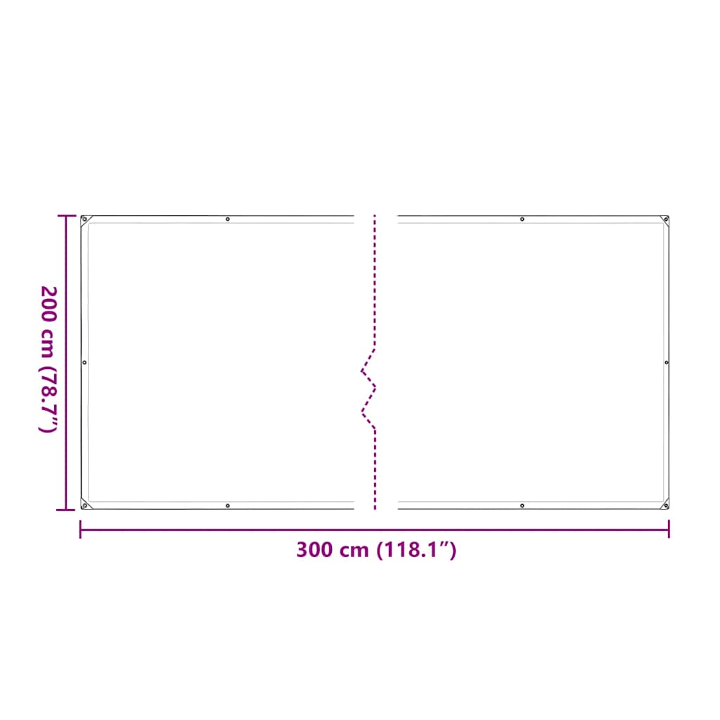 8721158380234_g_en_hd_10 vidaXL Clear Tarpaulin with Eyelets 2x3 m Polyethylene - Image 12
