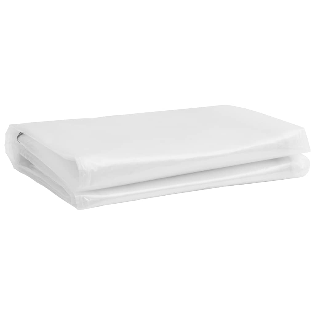 8721158380234_g_en_hd_2 vidaXL Clear Tarpaulin with Eyelets 2x3 m Polyethylene - Image 4
