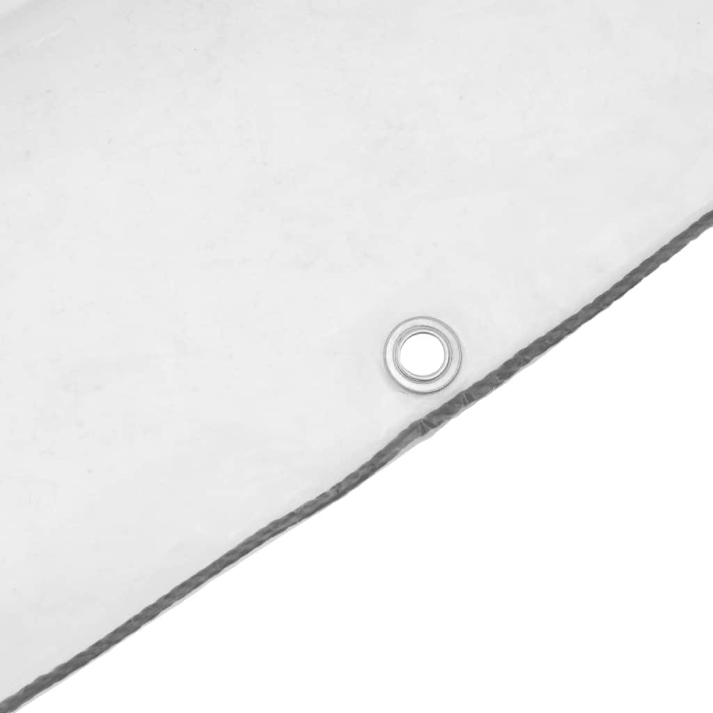 8721158380234_g_en_hd_6 vidaXL Clear Tarpaulin with Eyelets 2x3 m Polyethylene - Image 8