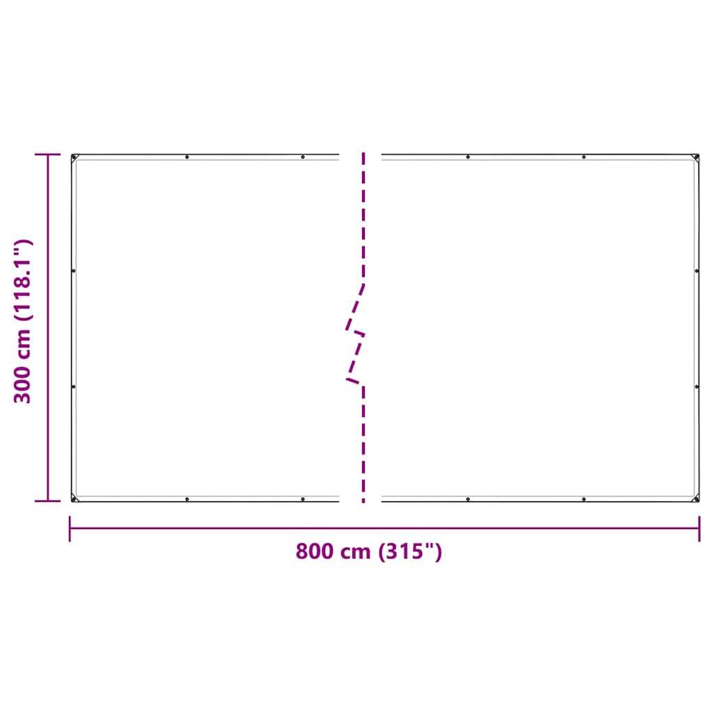 8721158380340_g_en_hd_9 vidaXL Clear Tarpaulin with Eyelets 3x8 m Polyethylene - Image 10