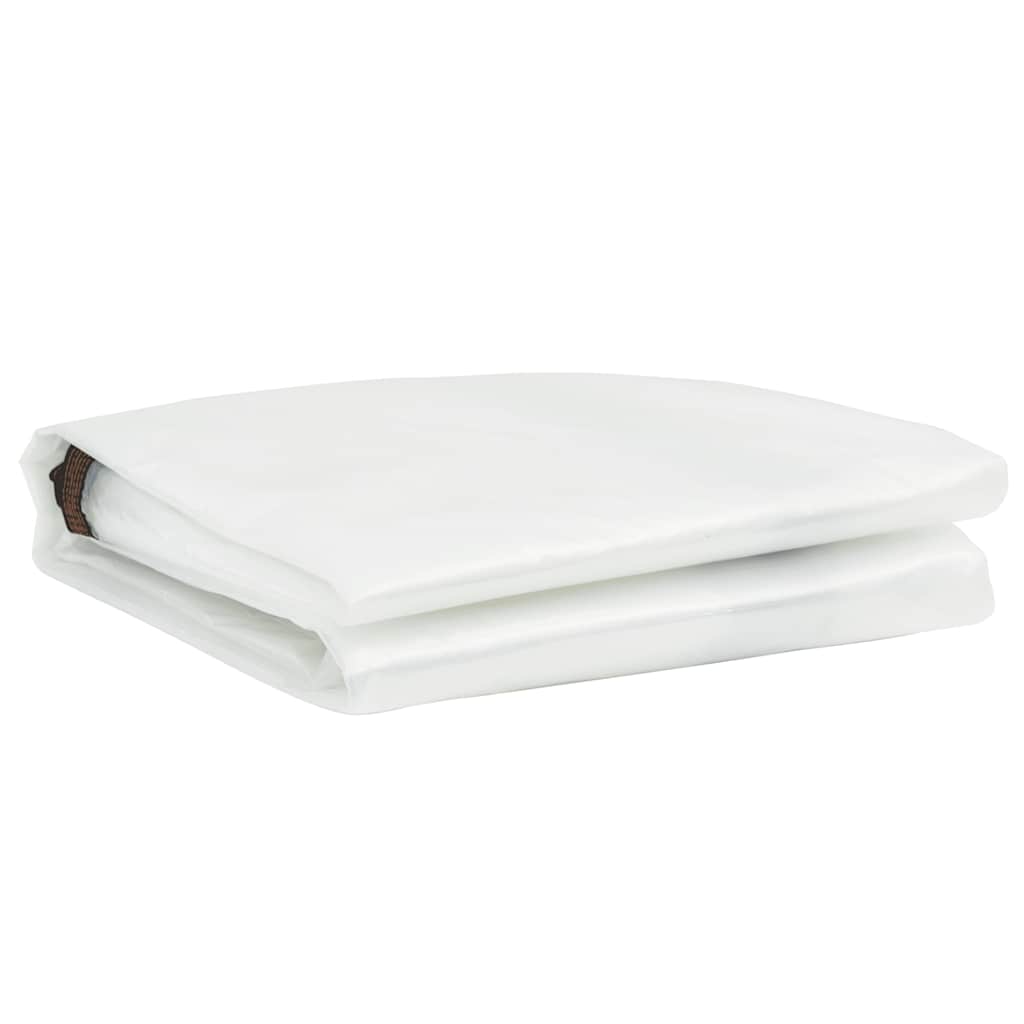 8721158380678_g_en_hd_2 vidaXL Clear Tarpaulin with Eyelets 2x3 m Polyethylene - Image 3