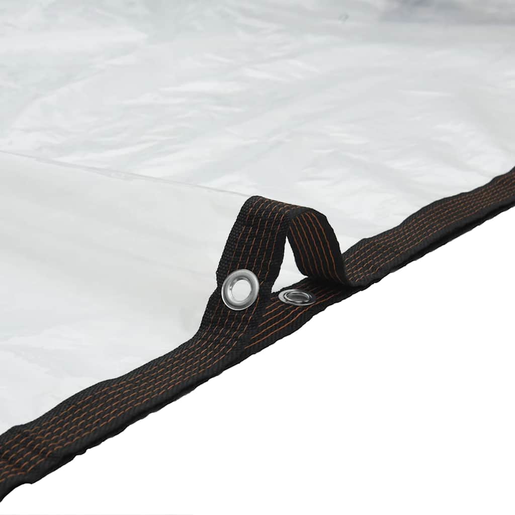 8721158380838_g_en_hd_6 vidaXL Clear Tarpaulin with Eyelets 4x6 m Polyethylene - Image 7