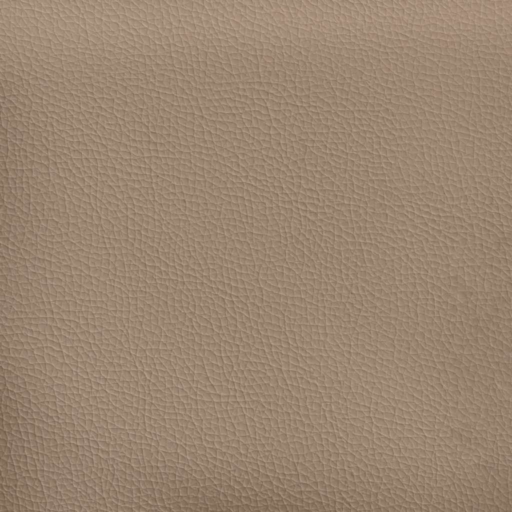 8721158692450_g_en_hd_6 vidaXL 2-Seater Sofa Cappuccino 120 cm Faux Leather - Image 8