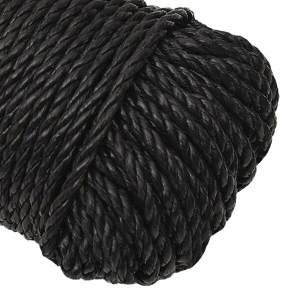 vidaXL Work Rope Black 6 mm 100 m Polypropylene - Image 4