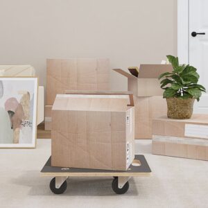 vidaXL Transport Trolleys 2 pcs Rectangular 50x35x11.5 cm 250 kg