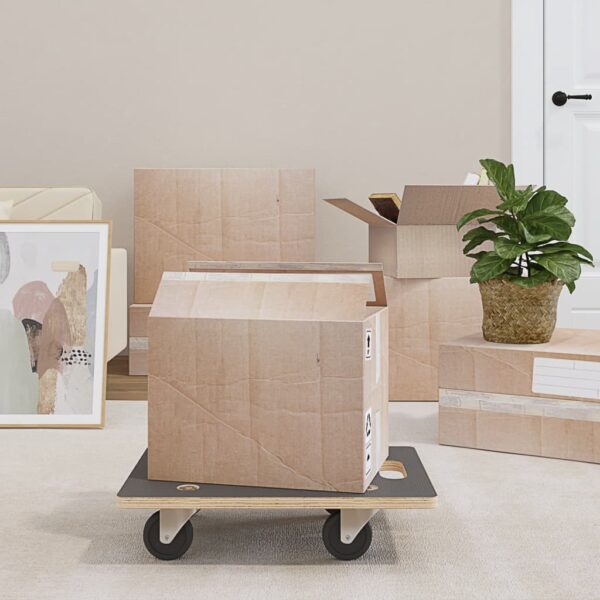 vidaXL Transport Trolleys 2 pcs Rectangular 50x35x11.5 cm 250 kg - Image 1