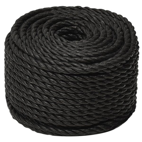 vidaXL Work Rope Black 10 mm 25 m Polypropylene - Image 2