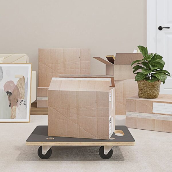 vidaXL Transport Trolleys 2 pcs Rectangular 60x40x11.5 cm 250 kg - Image 1