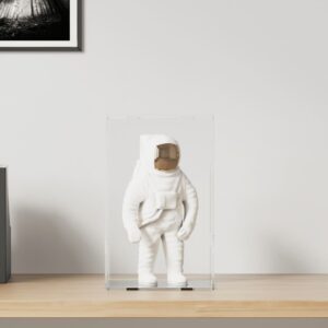 vidaXL Display Box Transparent 22x18x35 cm Acrylic