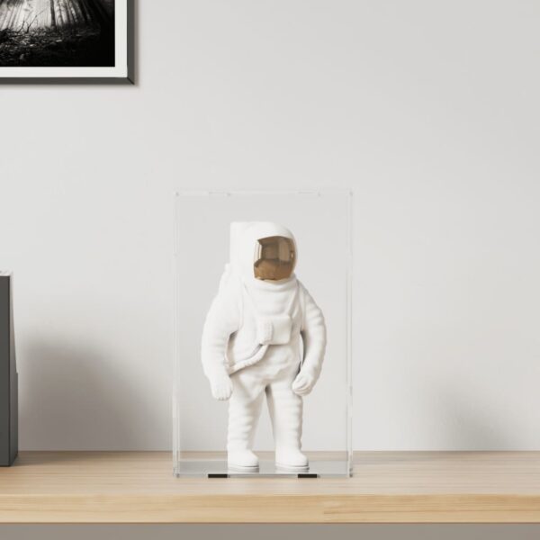 vidaXL Display Box Transparent 22x18x35 cm Acrylic - Image 1