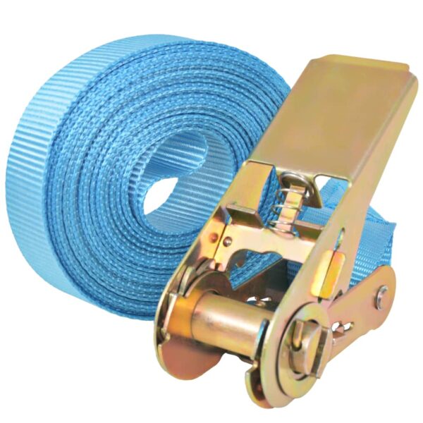 vidaXL Ratchet Tie Down Straps 10 pcs 0.8 Tonnes 4mx25mm Blue - Image 2