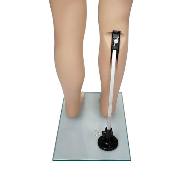 vidaXL Mannequin Child A - Image 9