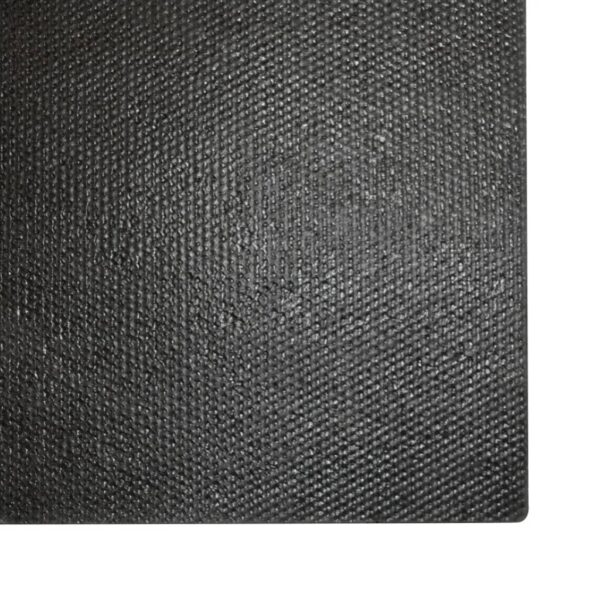 vidaXL Doormats 2 pcs Coir 24 mm 40x60 cm Natural - Image 5