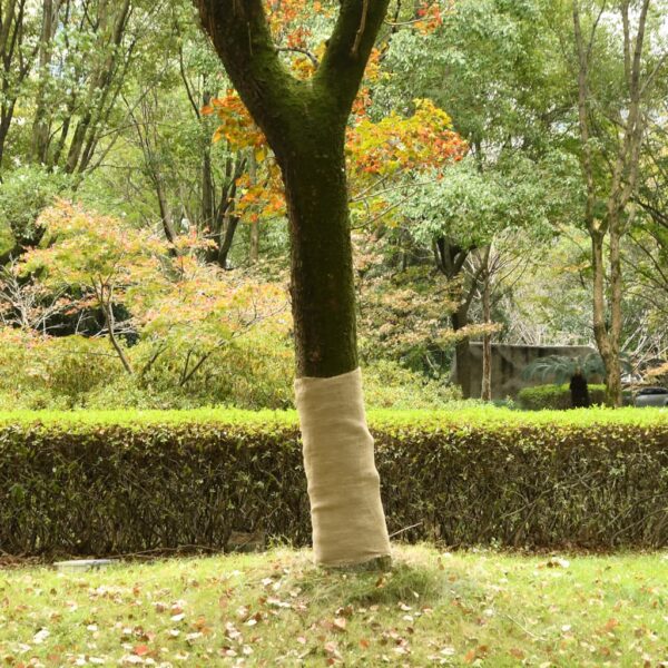 vidaXL Jute Roll 1x25 m 100% Jute 200 gsm - Image 1