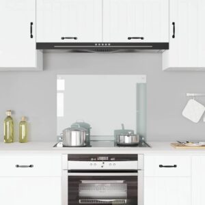 vidaXL Kitchen Backsplash Transparent 80x60 cm Tempered Glass
