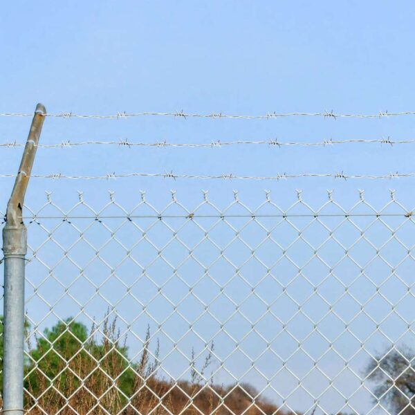 Barbed Wire 500 m - Image 1