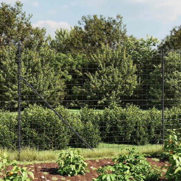 vidaXL Wire Mesh Fence Anthracite 1.6x10 m Galvanised Steel - Image 1