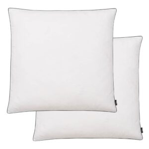 vidaXL Pillows 2 pcs Down/Feather Filling Light 80x80 cm White