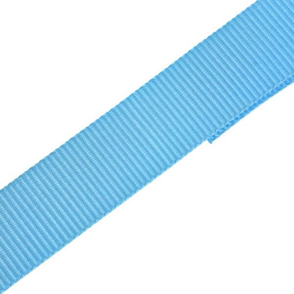 vidaXL Ratchet Tie Down Straps 10 pcs 0.8 Tonnes 4mx25mm Blue - Image 6