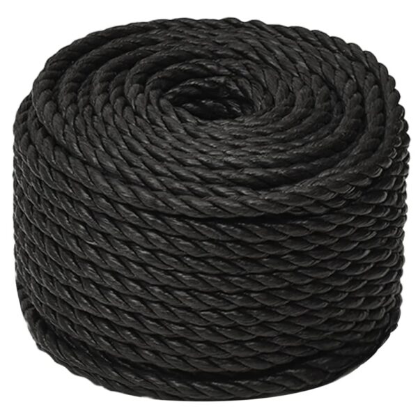 vidaXL Work Rope Black 10 mm 100 m Polypropylene - Image 2