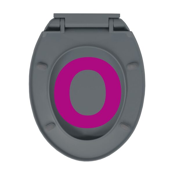 vidaXL Soft-Close Toilet Seat Grey Oval - Image 9